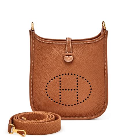 hermes evelyne iii 16 mini tpm|evelyn Hermes sizes.